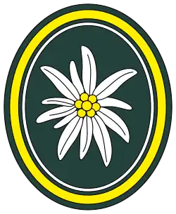 Verbandsabzeichen Panzerbrigade 24