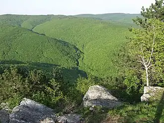 bewaldeter Gebirgszug Papuk