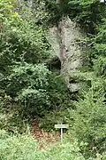 Die Gänsestube im Paradiestal