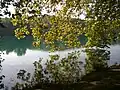 Ein Baum, der sich im See spiegelt