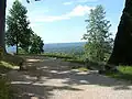 In der Nähe der Wiege der Rhododendren