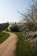 Weg an der Westseite