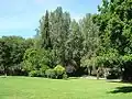 Stadtpark Parque da Cidade