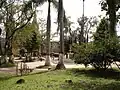 Park Simón Bolívar
