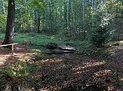 Parthequelle Gossenborn