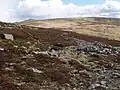 Blick vom nordwestlich benachbarten Càrn an t-Sagairt Mòr zum Cairn Bannoch (links) und Fafernie (rechts)