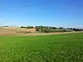 Pellhausen von Westen gesehen
