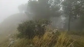 Am Nordabfall des Peña Hueva