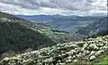 Landschaft in der Parroquia Penamil