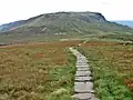 Kinder Scout