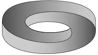Penrose-Torus