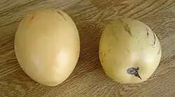 Pepino (Melonenbirne)