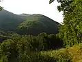 Waldgebiet südöstlich des Ortes