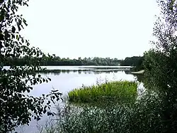 Nordufer des Sees