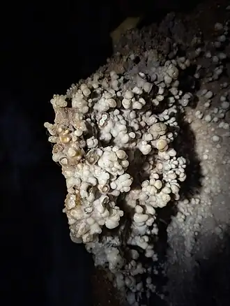 Perlsinter in der Höhle