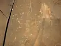 Petroglyphen