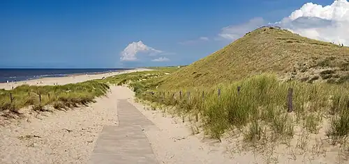 Nordende des Dünengebiets mit Blick Richtung Norden, rechts die neue Panoramadüne (2024)