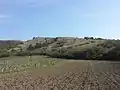 Der Pfaffenberg von Süden aus gesehen
