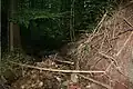 Die Lohklinge mit dem Pfedelbach (hier Lohklingenbach genannt) in Pfedelbach-Buchhorn