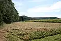 Die Talaue des Windischenbaches, oberhalb von Windischenbach in Richtung Klingenhof gesehen