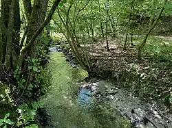 Pfengstbach