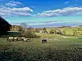 Pferde weiden bei Finkensiepen