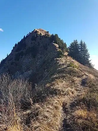Pfrondhorn