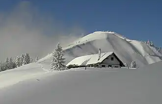Pfundalm mit Gipfel des Hirschhörnlkopfes