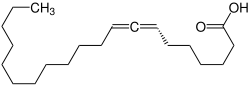 Strukturformel von Phlomissäure