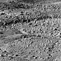 Eines der ersten Bilder der Marsoberfläche von Phoenix