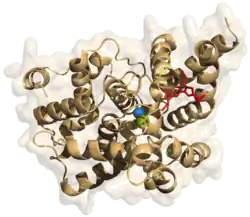 Phosphodiesterase-5