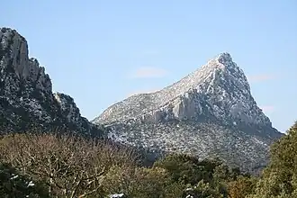 Der Pic Saint-Loup im Winter (von Osten)
