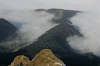 Blick vom Pilatus Richtung Nordwesten über das Klimsenhorn (mit Gipfelkreuz) ins vorwinterliche Eigental bei Hochnebel mit einer Obergrenze um 1000&nbsp;m. Der nordöstliche Ausläufer des Klimsenhorns, die Lauelenegg, setzt sich im bewaldeten Rücken des Höchberg&nbsp;(1198&nbsp;m) fort, danach der Einschnitt Chräigütsch&nbsp;(1081&nbsp;m) und dahinter die umwaldete Matte der Würzenegg&nbsp;(1173&nbsp;m). Am linken Bildrand ist unter dem Ganterseiwald das Gehöft beim Buechstäg&nbsp;(1006&nbsp;m) zu erkennen.