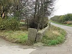 Drimmies