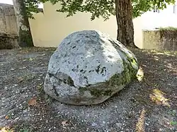 Schalenstein von Magnieu