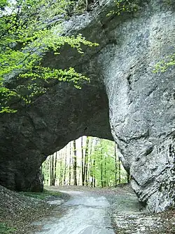 2007.