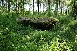 Dolmen La Pierre Tournante