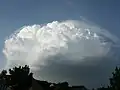 Pileus 27. Juli 2005 19.37 Uhr