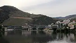 Straßenbrücke Ponte do Pinhão über den Douro