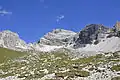 Alpine Rasen am Piz&nbsp;Duleda