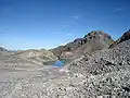 Wildsee