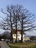 Gasthaus Plainlinde (Maria Plain)