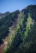 Blick auf die Gondelbahn mit den alten Betonpfeilern (2008)