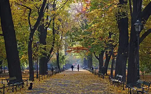 Herbst im Park