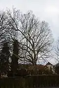 Schloss und Schlosspark
