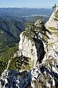 Plattenstein (1154&nbsp;m&nbsp;ü.&nbsp;A.), Blick nach Norden