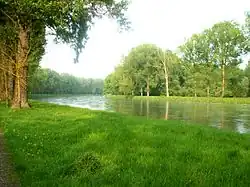 Isarauen