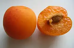 Pluot, Plumcots
