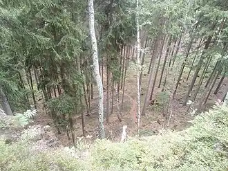 Blick vom Gipfel