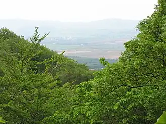 Blick vom Burgberg